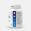 Ginkgo Biloba Extract Powder
