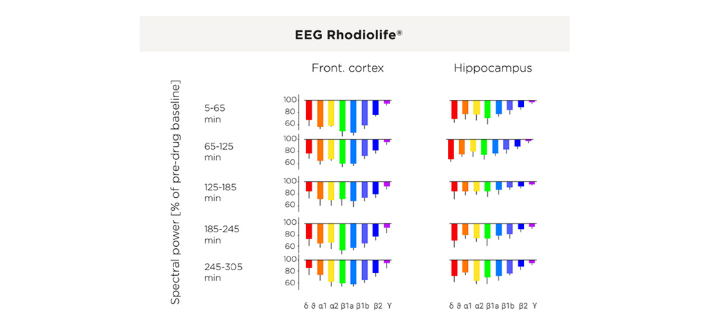 rhodiolife-eeg.jpg